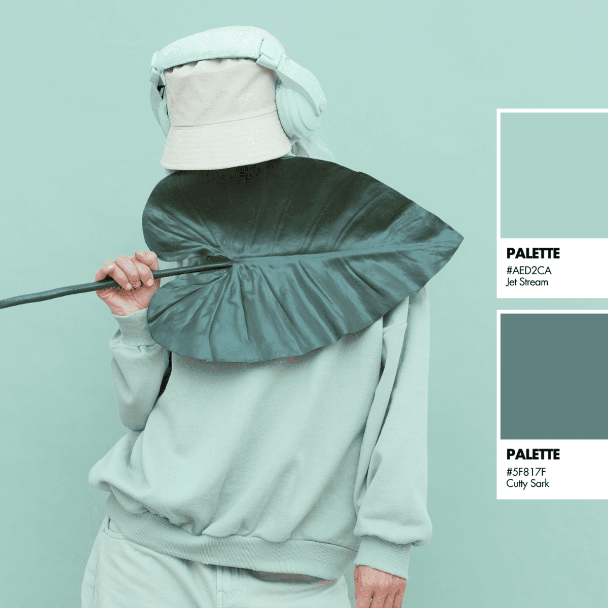Color Palette Brand Kit